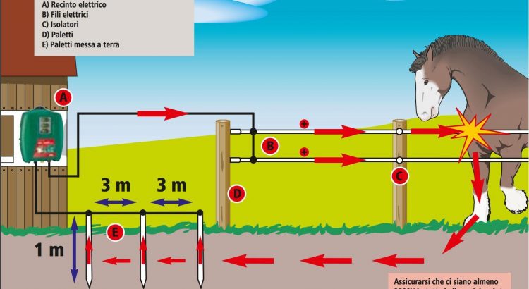 Schema recinto elettrico